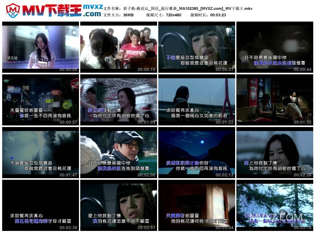 崔子格-桃花运_国语_流行歌曲_MA102380